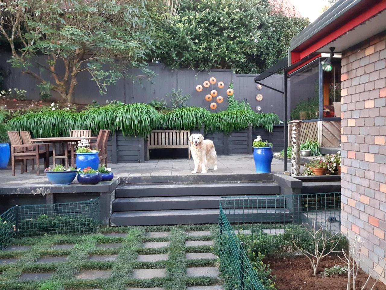 Sequoia Steps Acomodação com café da manhã New Plymouth Exterior foto